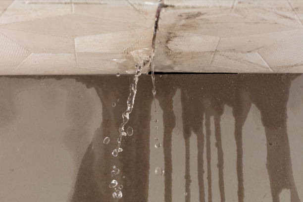 Professional Structural Drying technician working in Clinton, OH